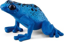 blauer Pfeilgiftfrosch