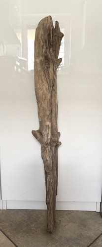 Treibholz xl - treibholz/,