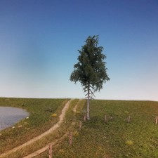 Silhouette 277-52 Tanne H0 +