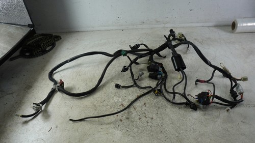 Aprilia pegaso 650 - aprilia,
