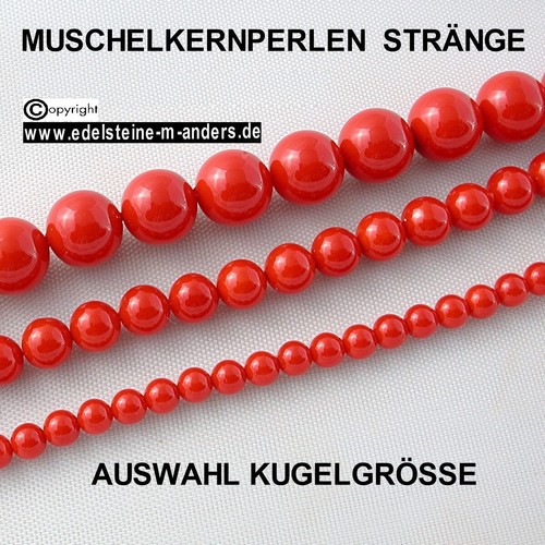 Shell muschel kern perlen - muschel,