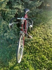 vintage pegasus ten speed bike