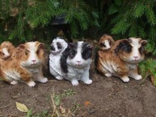 Meerschweinchen m. Baby Deko