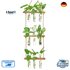 Reagenzglas Vase mit Ständer