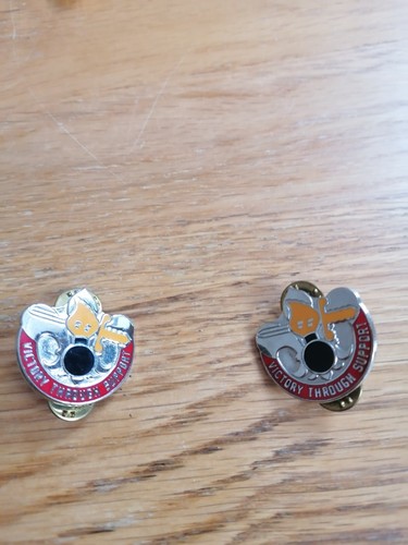 Army unit crest - us,