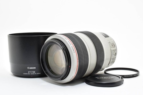 Canon 300mm 5 - 70-300mm, is