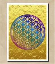  Blume des Lebens - Golden