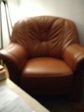 Ledersessel. Sehr Guter Zustand