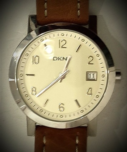 Dkny 1061 donna karan - dkny, ny-1061