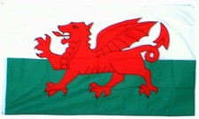 Ausverkauf   FAHNE/FLAGGE  Wales Dragon Drache  90x150
