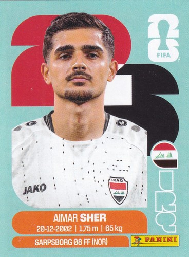 Aimar sher panini - panini, wm