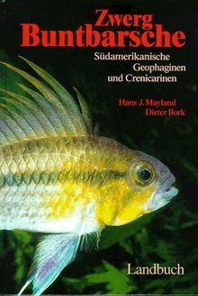 Zwerg buntbarsche - zwerg,