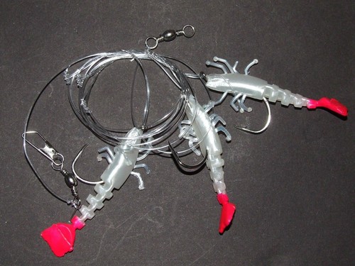 Super catch prawn - catch, shad