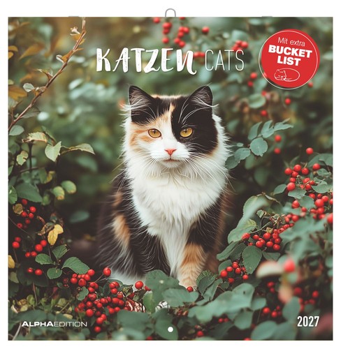 Katzen 2027 wandkalender 30x30 - katzen,