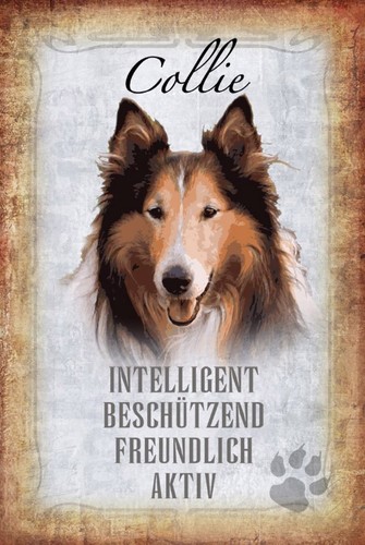 Blechschild 18x12 collie hund - 18x12,
