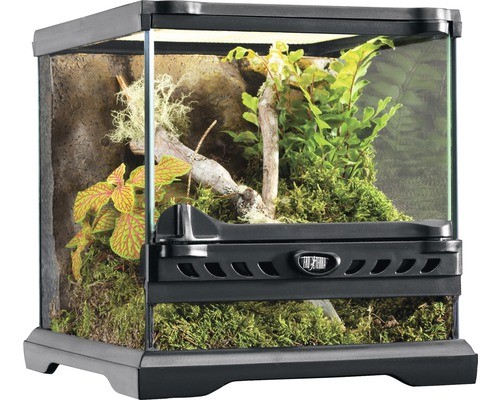 Terrarium paludarium exo - paludarium,