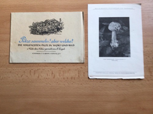 Ddr ostalgie pilze sammeln - ddr,
