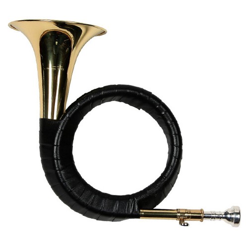 Karl glaser fürst pless horn - glaser,