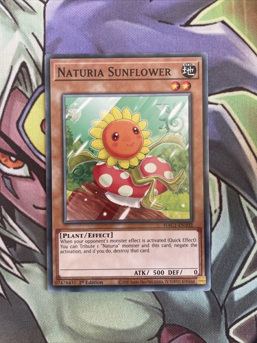 Hac1 de102 naturia sonnenblume - hac1-de102,