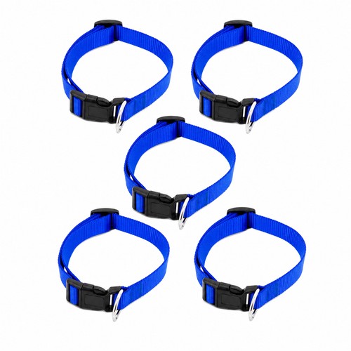 Hundehalsband 5er set blau - hundehalsband,