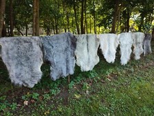 Echte Nordschnucken Schaffelle