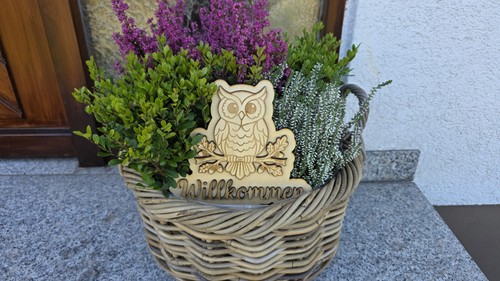 Holz willkommensschild eule - holz,
