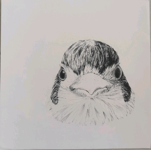Original tuschezeichnung vogel - original,