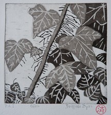 Efeu Original Aquatinta