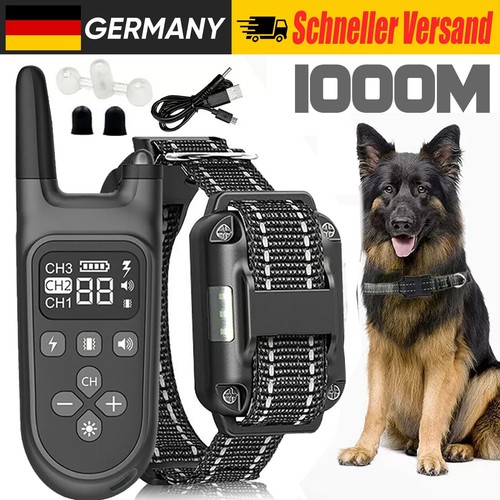 1000m hund ausbildung - 1000m,