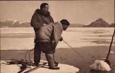 Ak Nordamerika, Narwhal