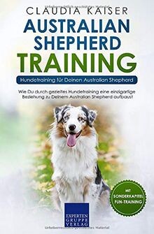 Australian shepherd training - shepherd,