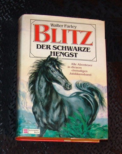 Blitz der schwarze - , hengst