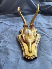 Echtes Rehgeweih Deko Ringe