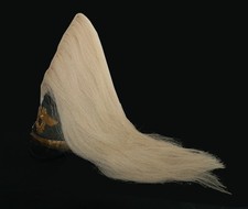 Paradebusch Haarbusch für