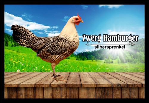 Fußmatte schmutzfangmatte - fußmatte,