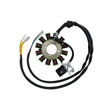 Lichtmaschine Stator for