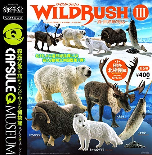 Capsule museum wild - q, rush