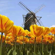 Niederlande Kranenburg Holland 3-6 Tage 2P Gasthaus am Reichswald + Halbpension