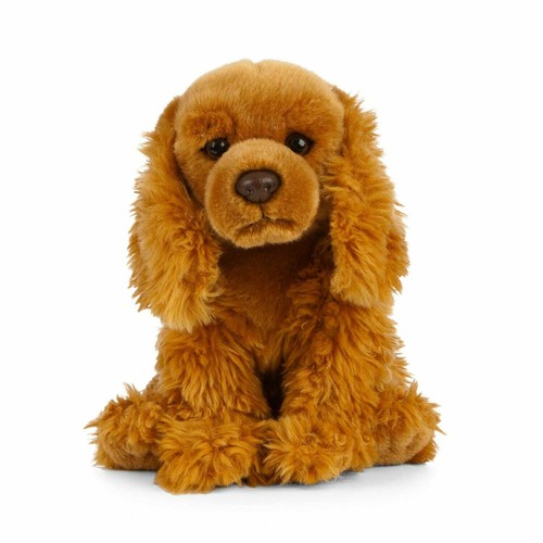 Cocker spaniel hund - cocker,