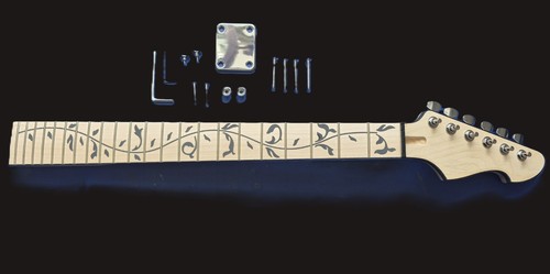 Strat style maple gitarren - style,