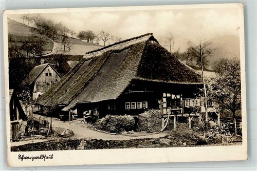 39419275 schwarzwaldhaus - 39419275,