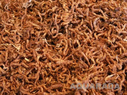 Rote mückenlarven 100ml - rote, fd