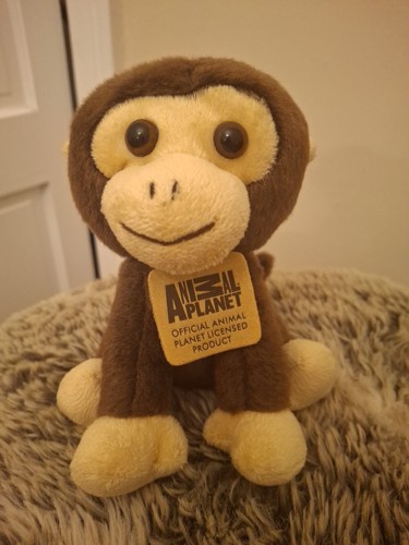 Baby affe tier - baby,