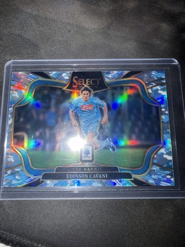 Panini serie select winter - serie,