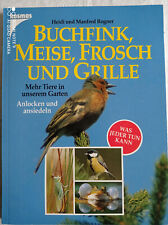 Buchfink, Meise, Frosch und