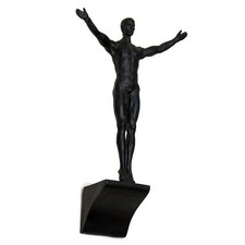 Taucher Turmspringer Schwimmer