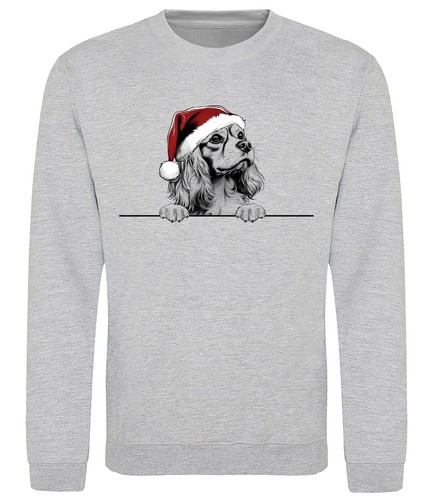 Cavalier king charles spaniel - cavalier,