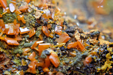 Wulfenit aus Adami Mine No. 2