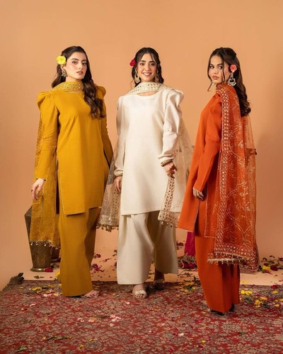 Salwar party kameez pakistaner - kameez,