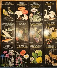 Lingen Bestimmungsbuch Zoologie Botanik Vögel Pilze Pflanzen Konvolut 12 Bücher